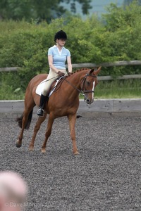 ISIS Dressage Challenge 2008